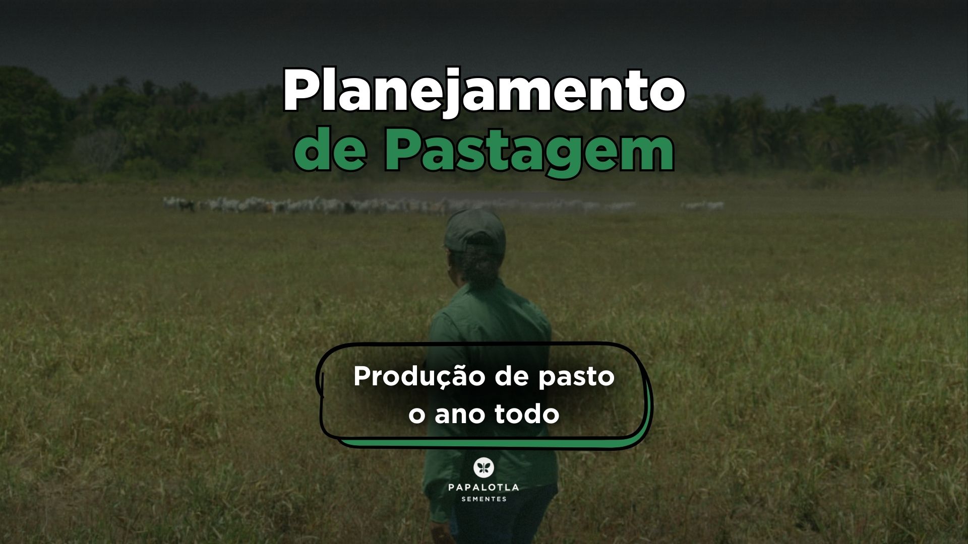 Planejamento de Pastagem: Produção de Pasto o ano todo