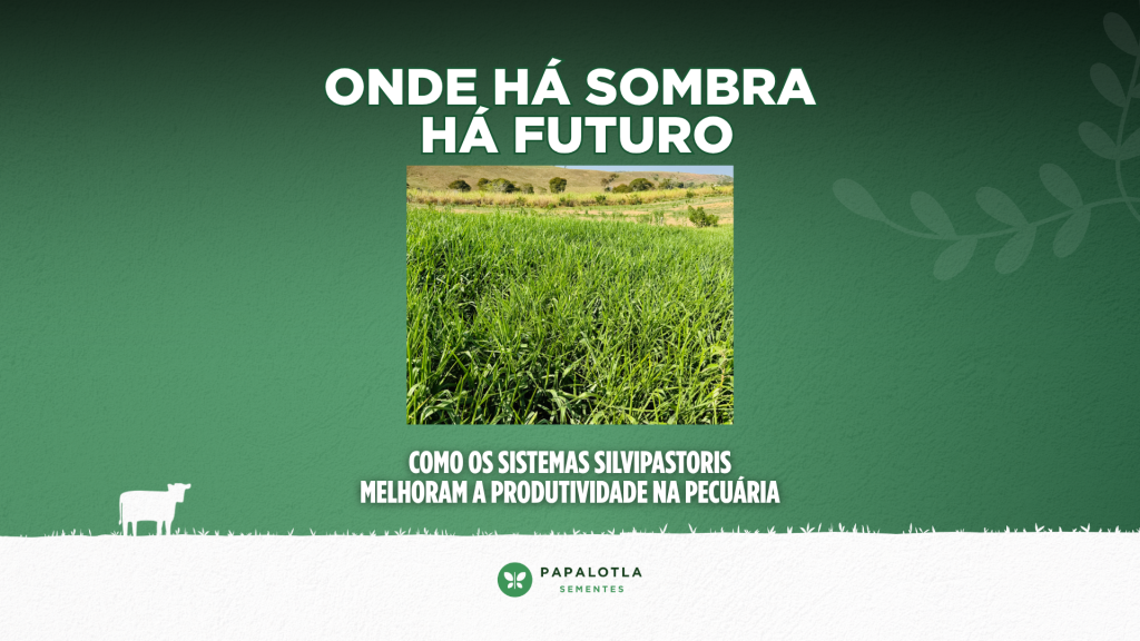 sistemas silvipastoris na pecuária