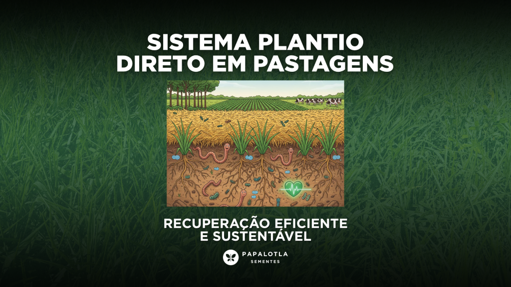 Sistema Plantio Direto em Pastagens: Recuperação Eficiente e Sustentável