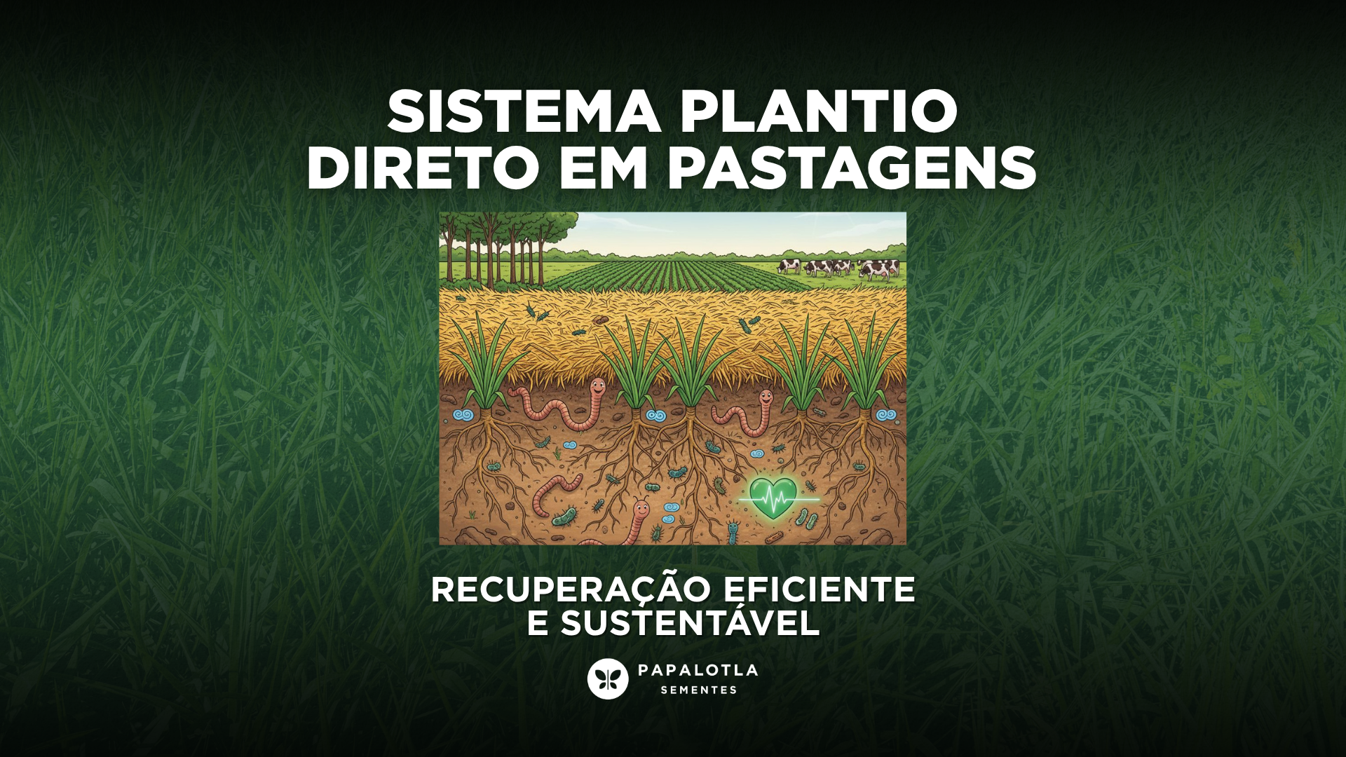 Sistema Plantio Direto em Pastagens: Recuperação Eficiente e Sustentável