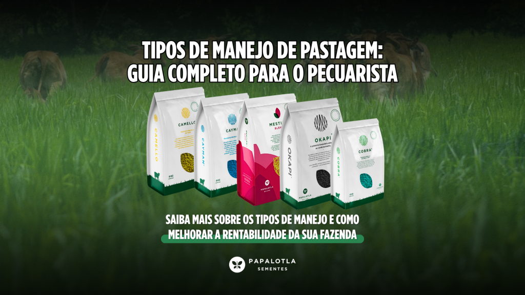 Tipos de Manejo de Pastagem: Guia Completo para o Pecuarista Papalotla