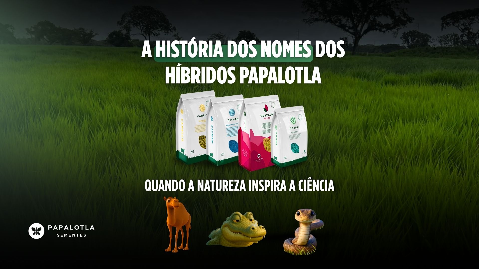 A História dos Nomes dos Híbridos Papalotla