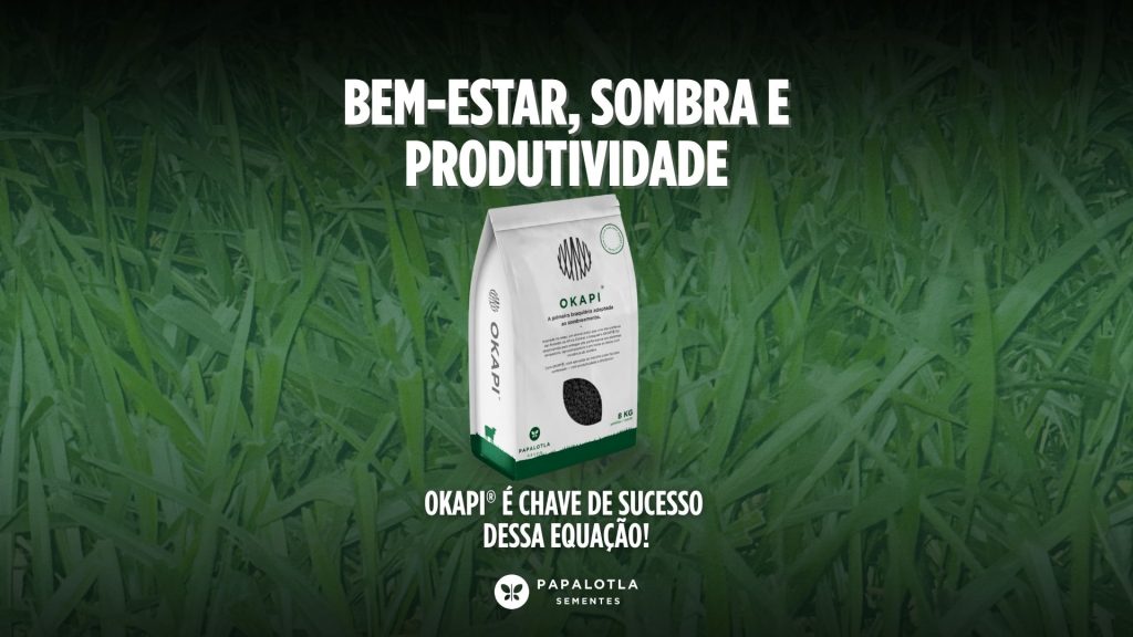 Bem-estar, sombra e produtividade: Okapi é chave de sucesso dessa equação!