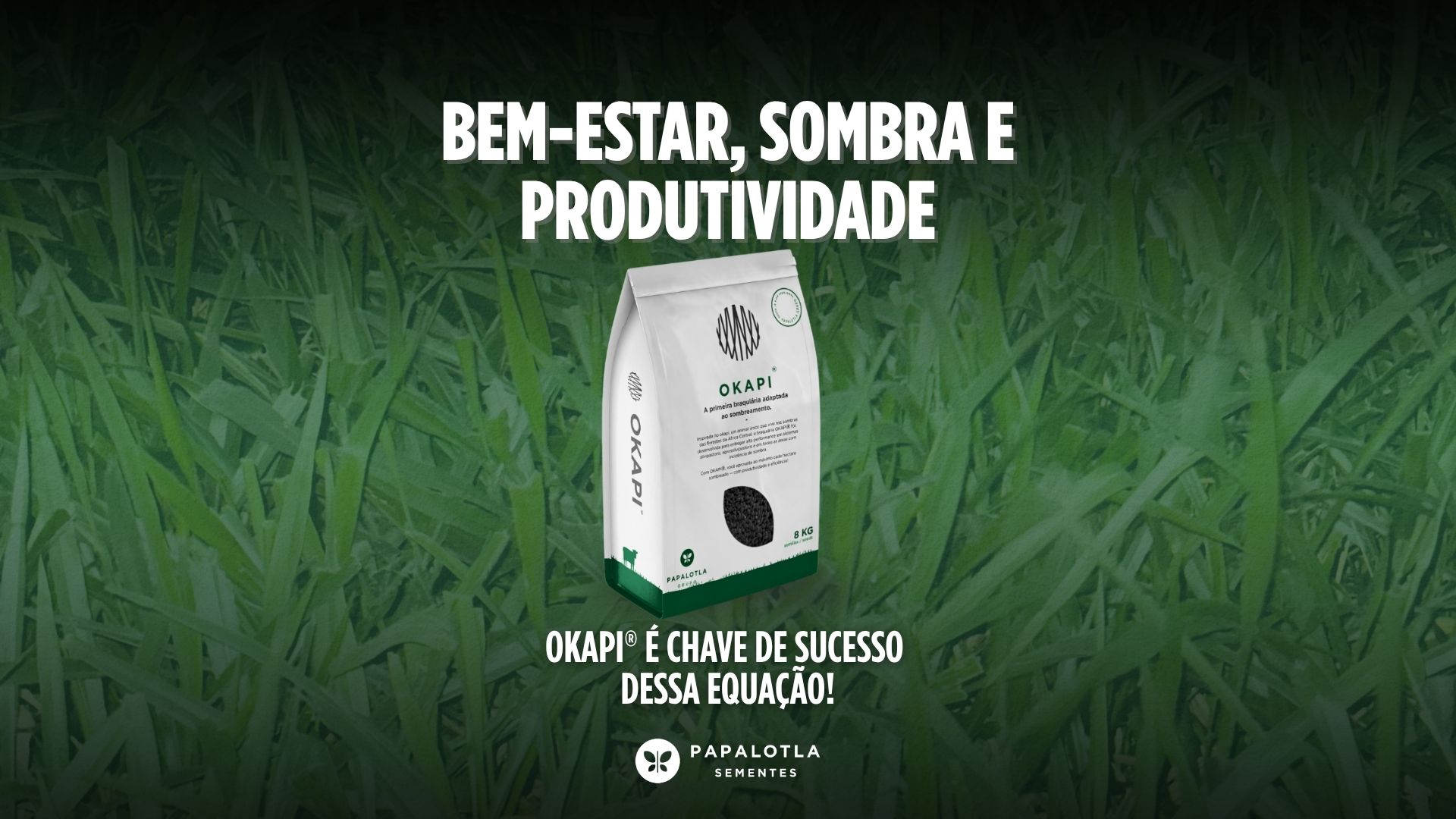 Bem-estar, sombra e produtividade: Okapi é chave de sucesso dessa equação!