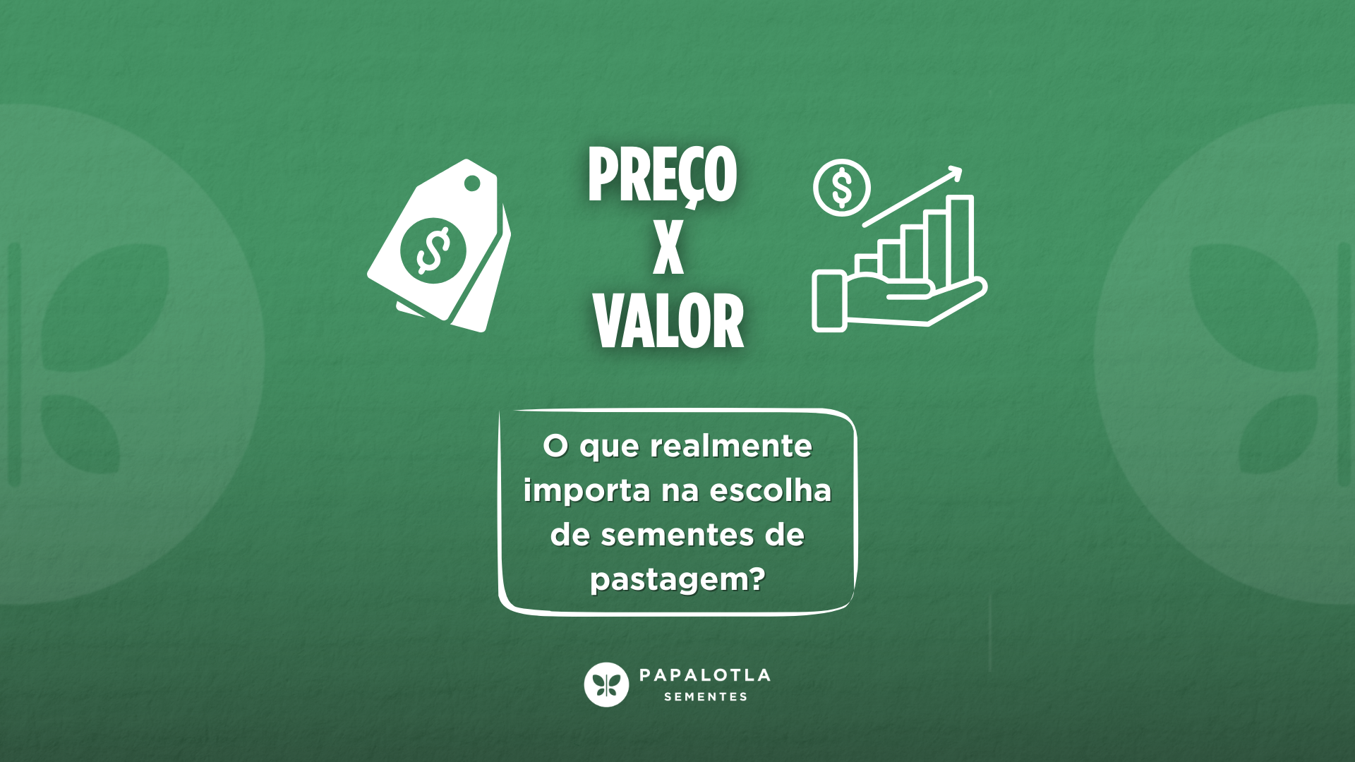 Preço vs. valor: o que realmente importa na escolha de sementes de pastagem?