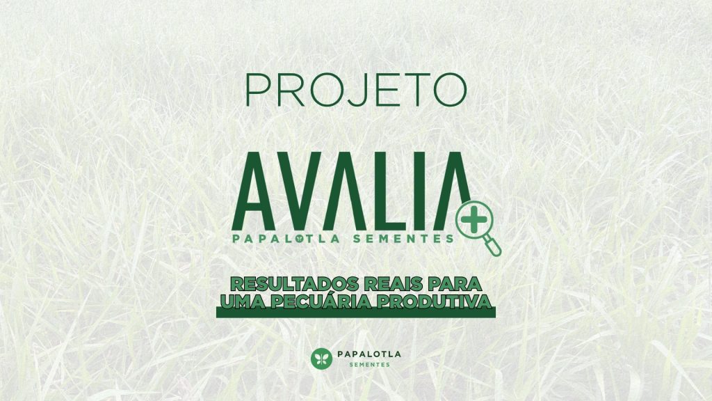 Projeto Avalia+: resultados reais para uma pecuária produtiva Papalotla