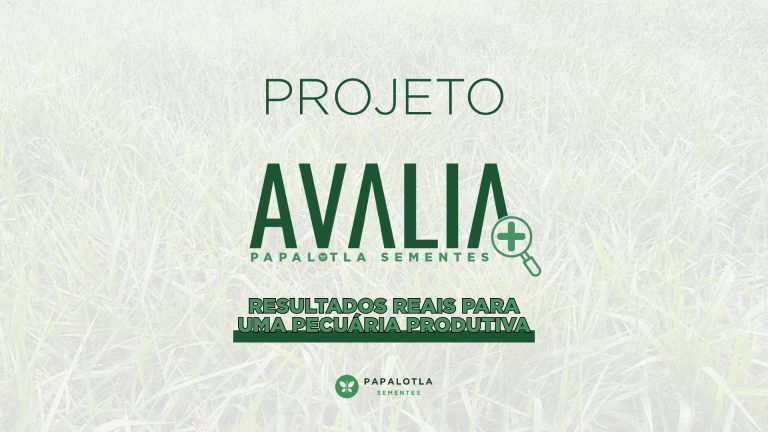 Projeto Avalia+: resultados reais para uma pecuária produtiva Papalotla