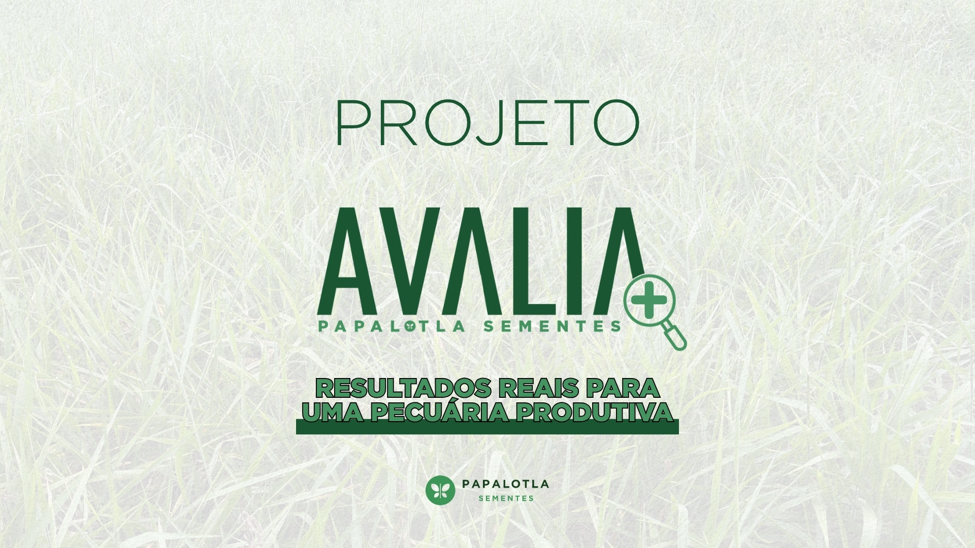 Projeto Avalia+: resultados reais para uma pecuária produtiva Papalotla