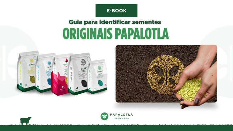 Ebook - Guia para Identificar Sementes Originais Papalotla