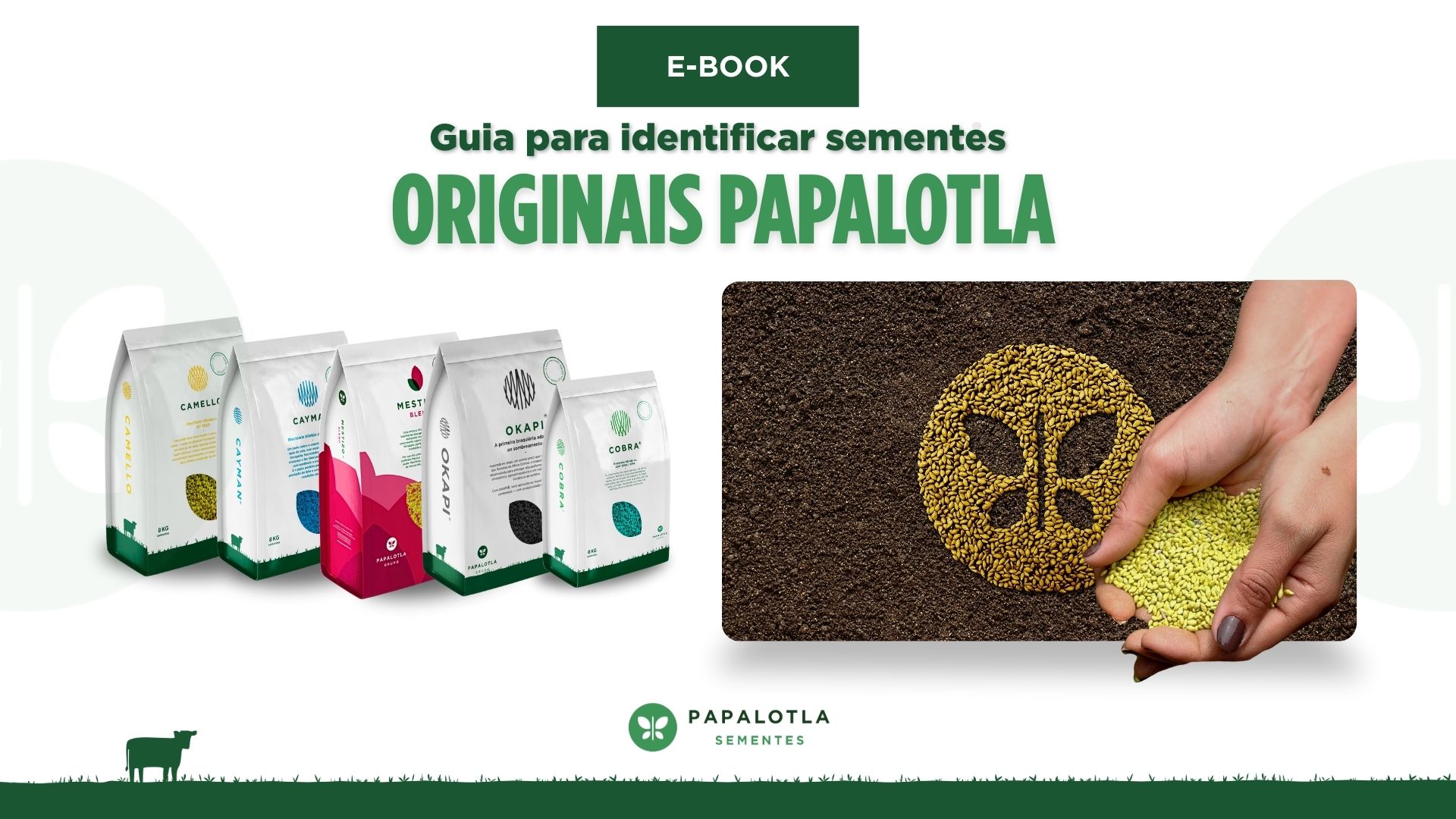 Ebook - Guia para Identificar Sementes Originais Papalotla