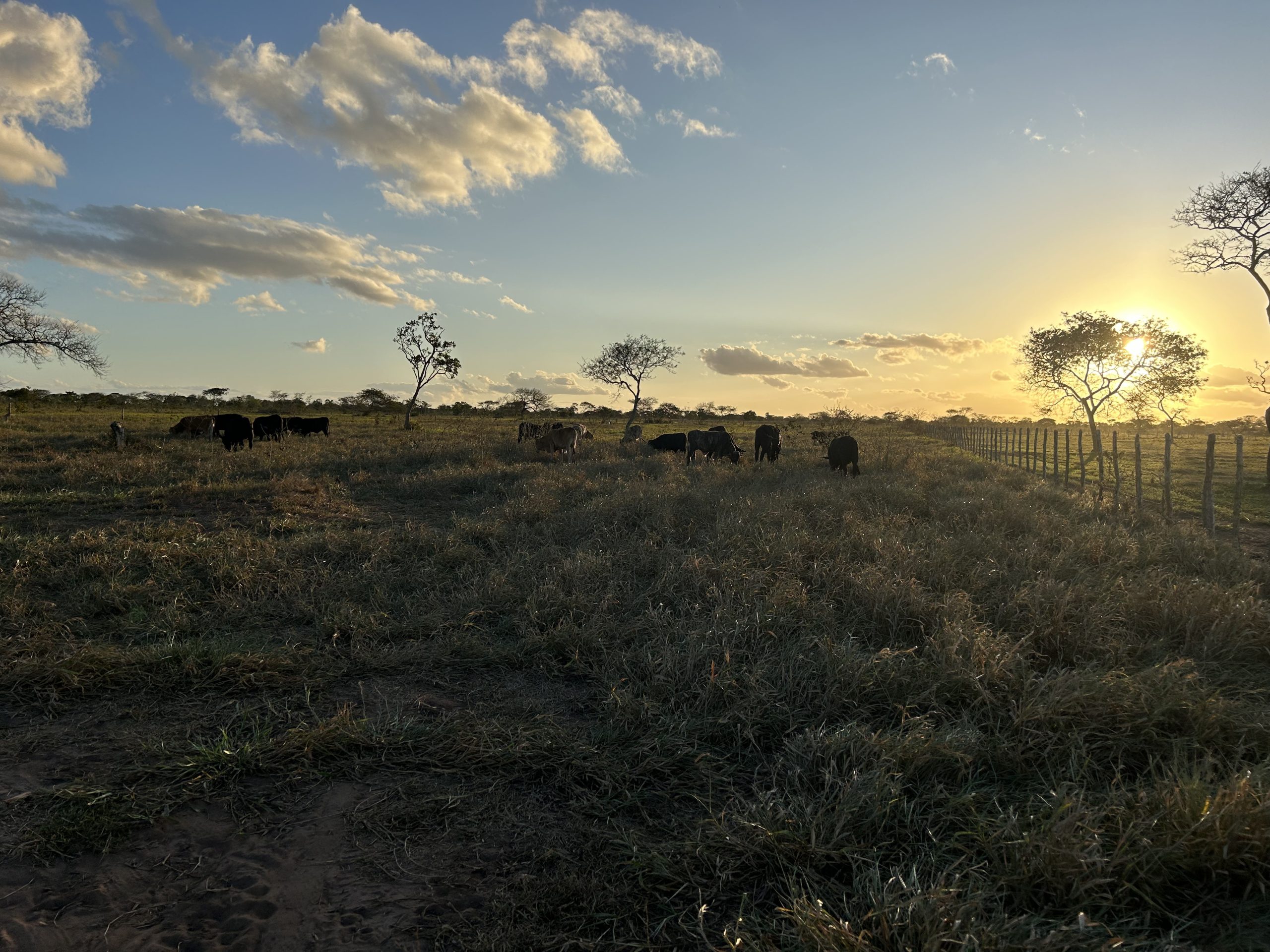 Fazenda Sucupira, Tucano/BA
