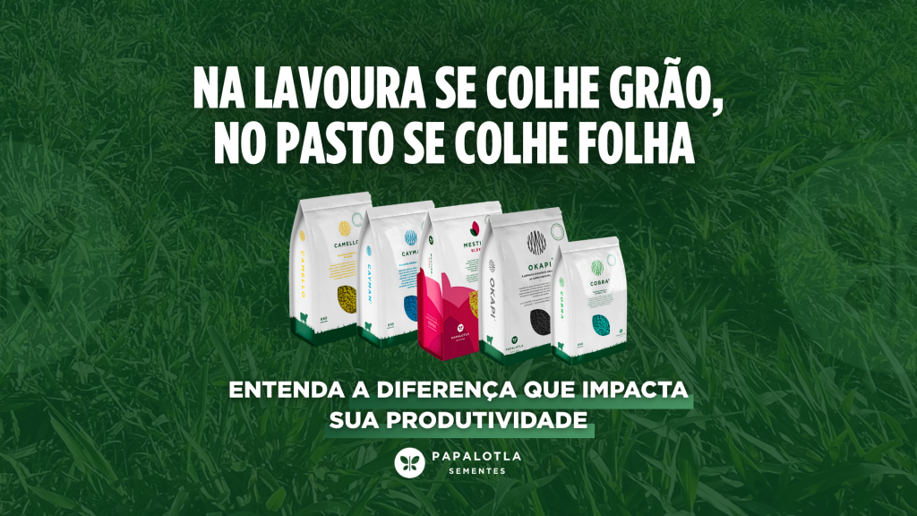 Na lavoura se colhe grão, no pasto se colhe folha: entenda a diferença que impacta sua produtividade
