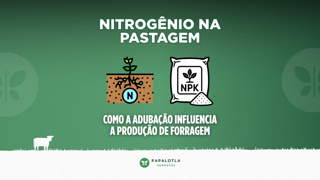 Nitrogênio na pastagem: como a adubação influencia a produção de forragem