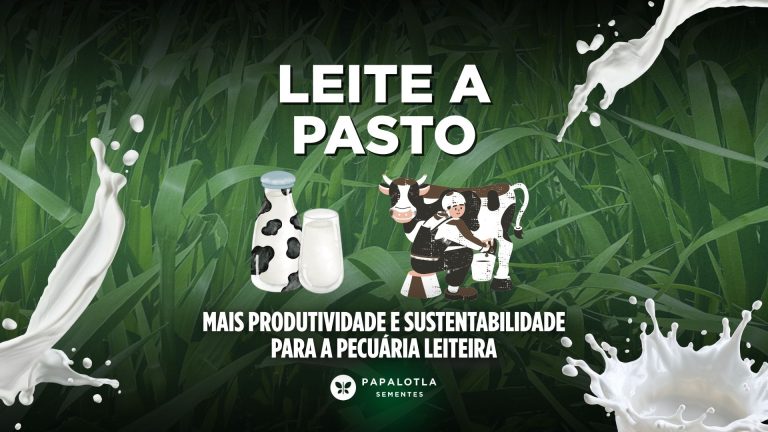 Leite a pasto: mais produtividade e sustentabilidade para a pecuária leiteira