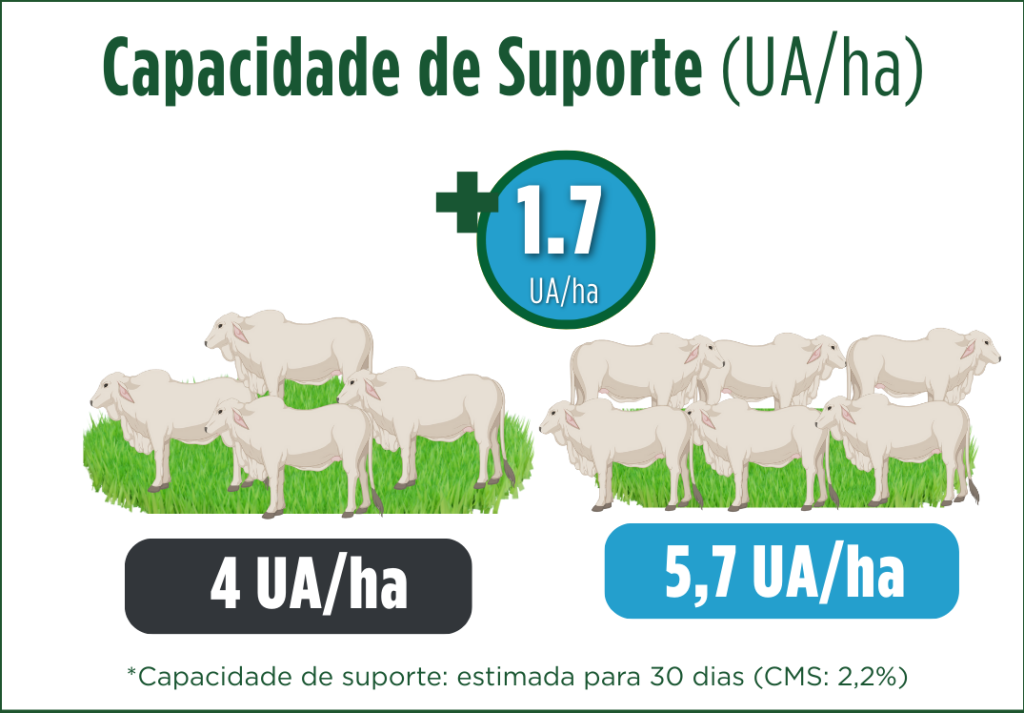 Capacidade de Suporte, Redenção/PA