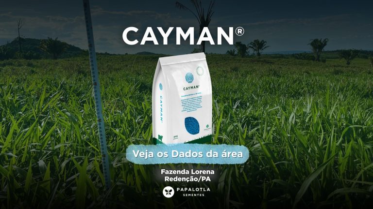 Mais produtividade por hectare: Cayman® gera eficiência na pecuária do Pará