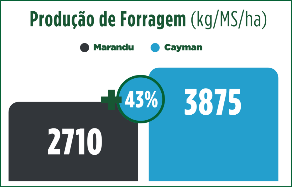 Produção de Forragem no Redenção/PA