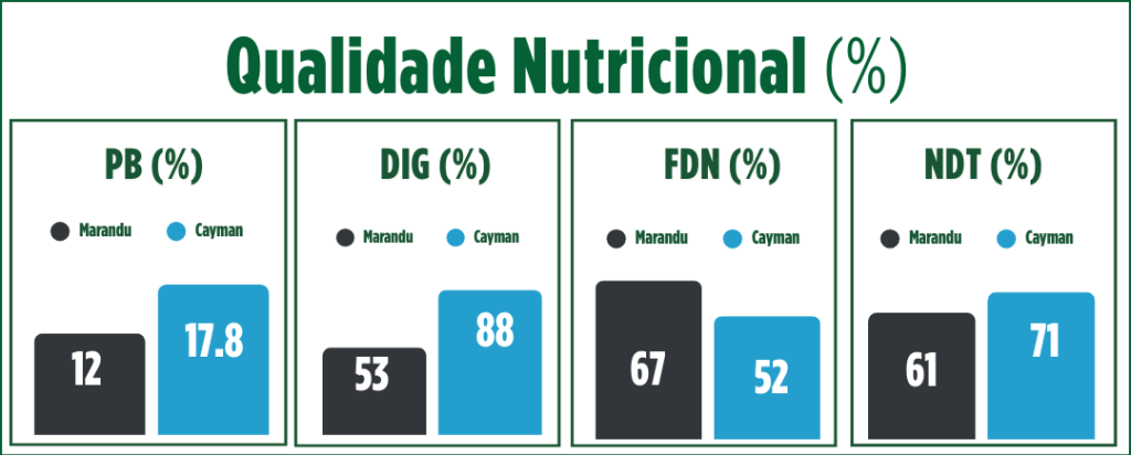 Qualidade Nutricional em Redenção/PA