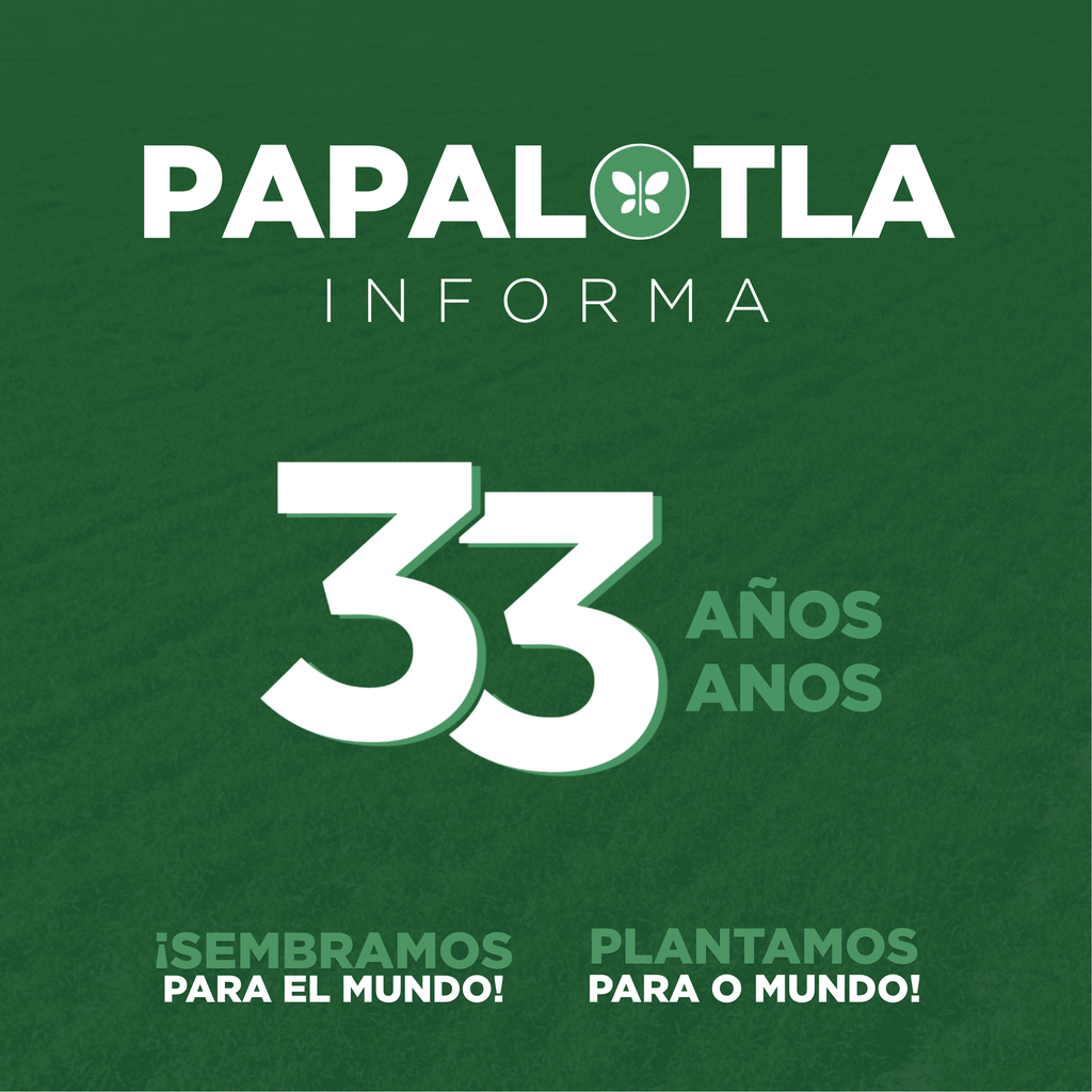 capa revista - Papalotla Informa
