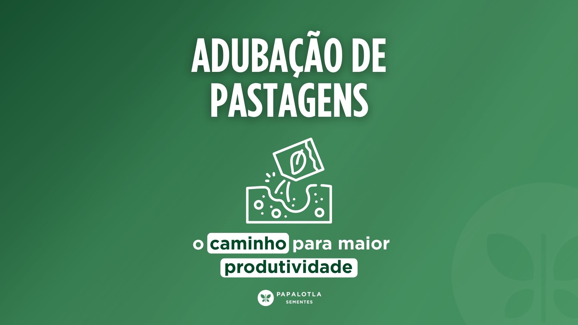 Adubação de pastagens: o caminho para maior produtividade 