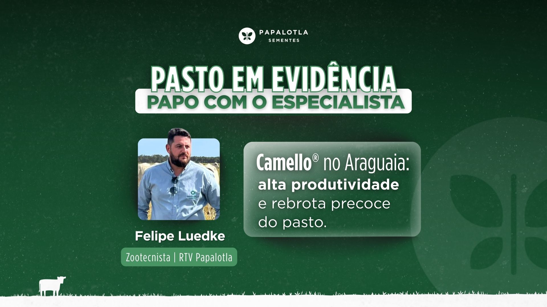 Camello® no Araguaia: alta produtividade e rebrota precoce do pasto