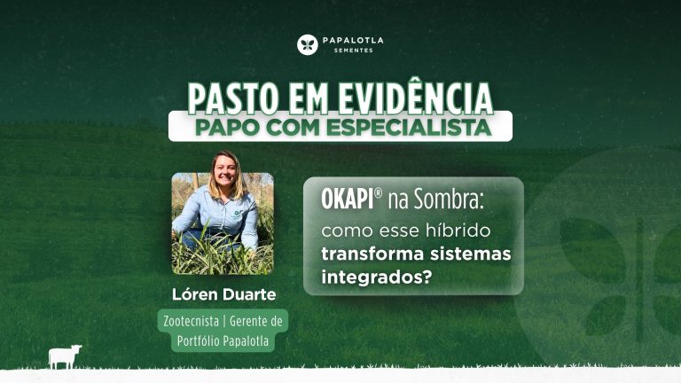 Okapi para áreas sombreadas: como esse híbrido transforma sistemas integrados