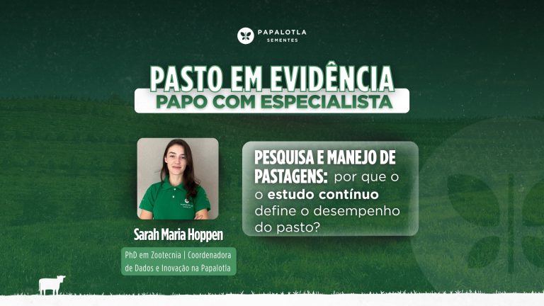 Pesquisa e manejo de pastagens: por que o estudo contínuo define o desempenho do pasto?