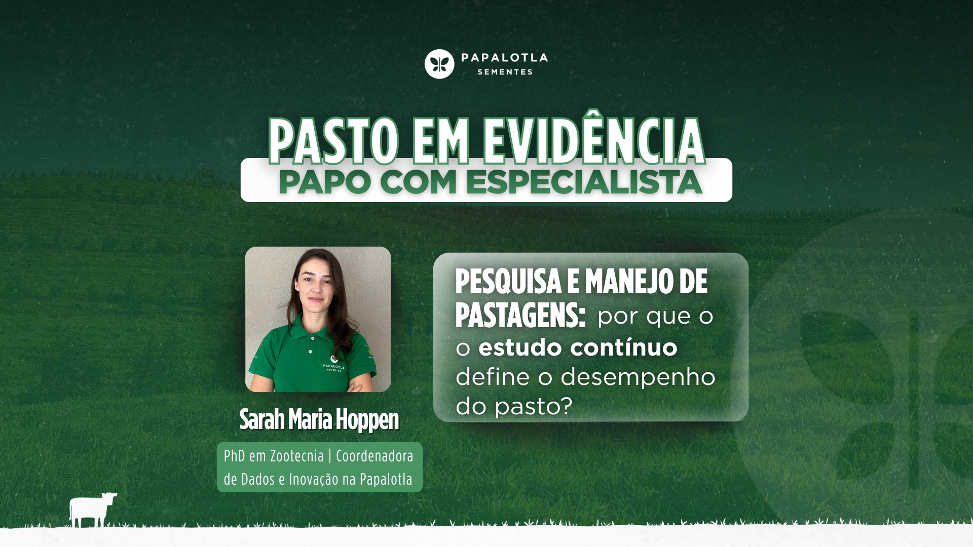 Pesquisa e manejo de pastagens: por que o estudo contínuo define o desempenho do pasto?