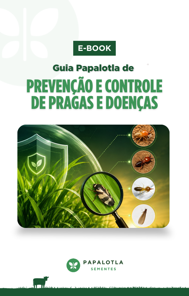 capa e-book pragas e doenças