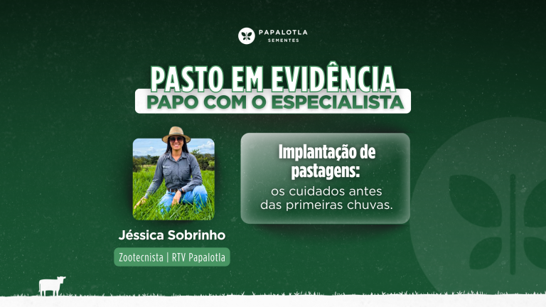 Implantação de pastagens antes das primeiras chuvas