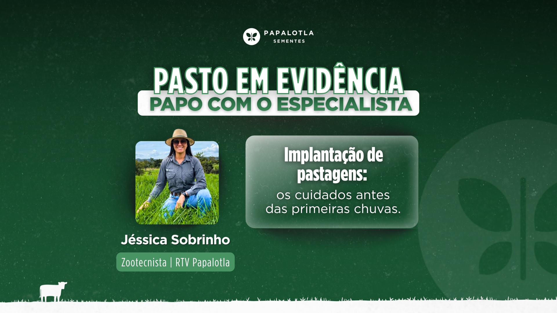 Implantação de pastagens antes das primeiras chuvas