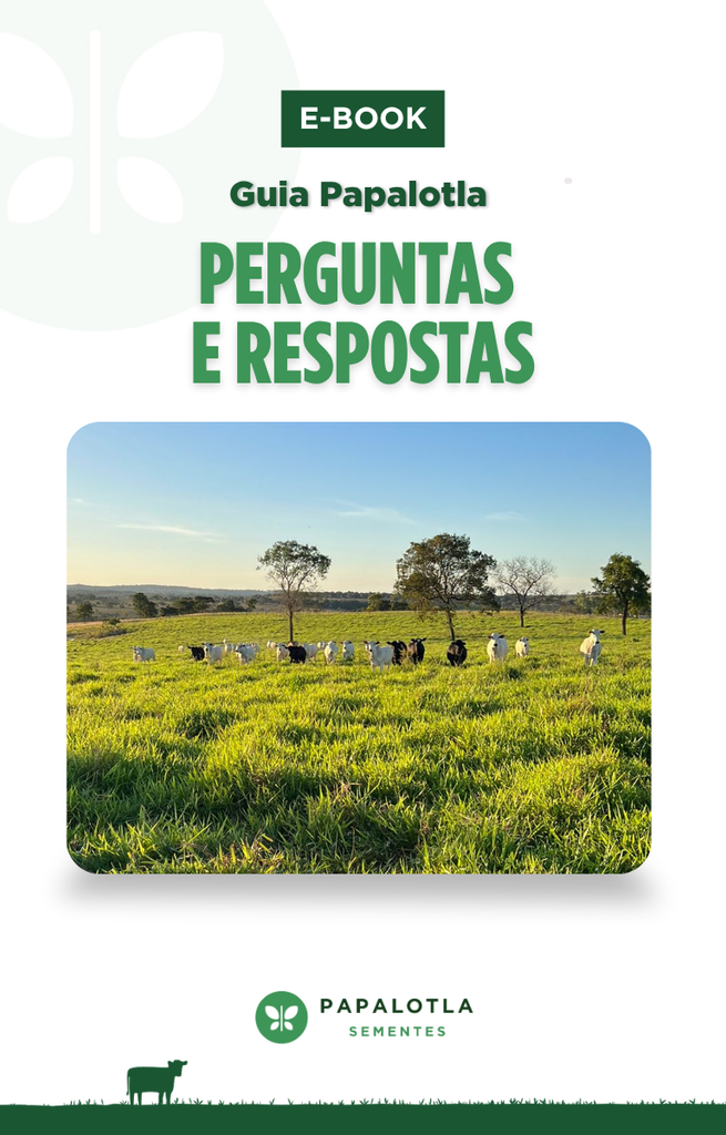 capa e-book perguntas e respostas
